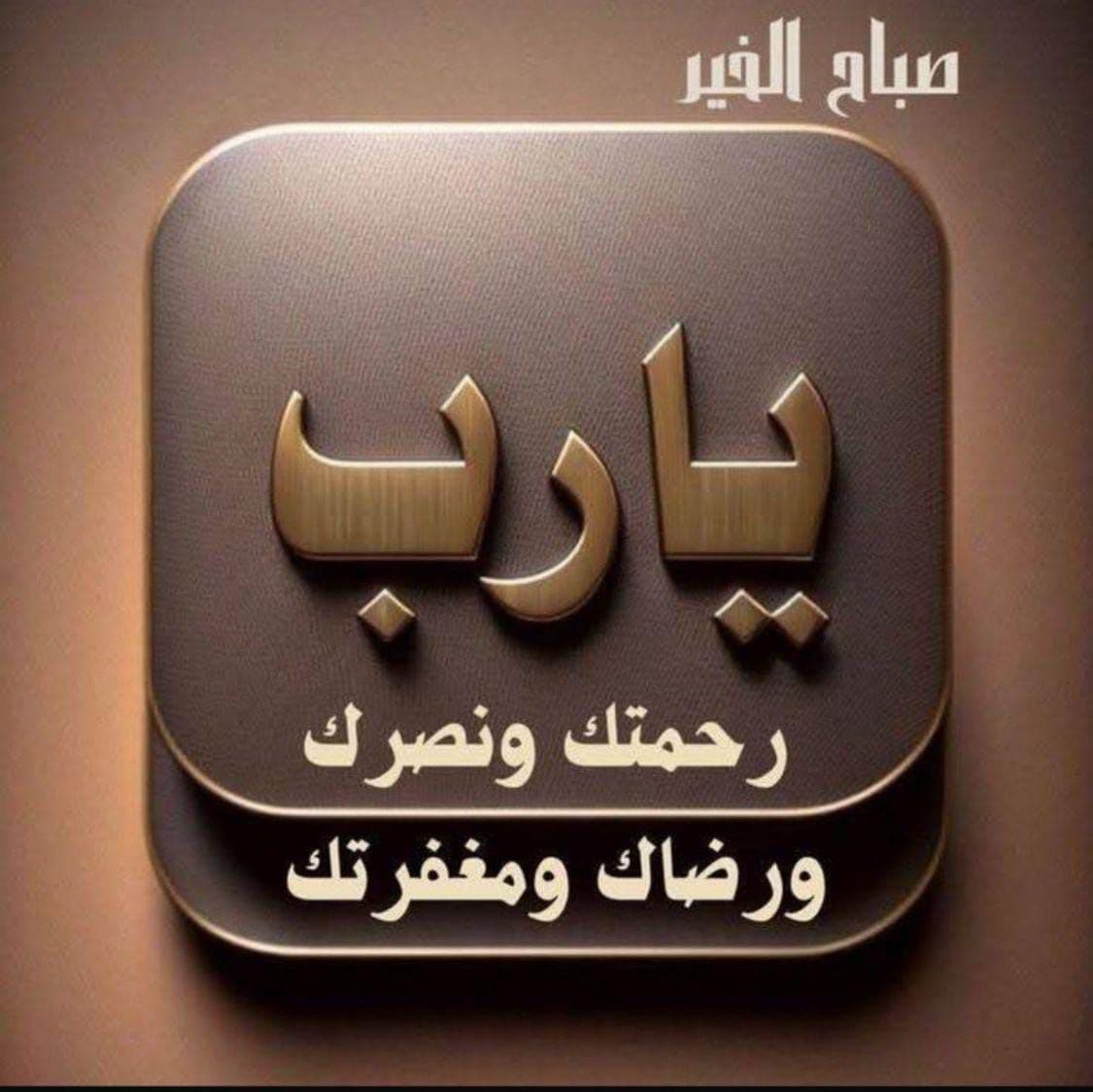 أبو ربيع